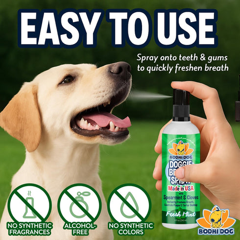 Bodhi Dog Natural Dog Breath Freshener Spray, 8oz | Fresh Breath, Tartar & Plaque Remover, Supports Teeth & Gum Health