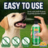 Bodhi Dog Natural Dog Breath Freshener Spray, 8oz | Fresh Breath, Tartar & Plaque Remover, Supports Teeth & Gum Health