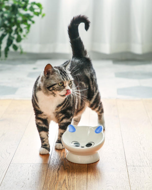 Raised Cat Food Bowl Ceramic, 15° Tilted Design, Anti Vomiting Backflow Prevention for Cats and Small Dogs, Blue