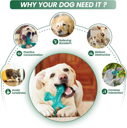 Dog Chew Toys for Aggressive Chewers, Indestructible Bones Toy, Durable Natural Rubber Cleaning Toothbrush Toys