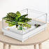 Reptile Artificial Plants, Terrarium Decorations for Aquarium Fish Tank, Amphibian Habitat Accessories (L Set-3pcs/B)