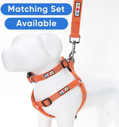 Pawtitas Reflective Dog Collar, Adjustable for Large Dogs, Orange Puppy Collar