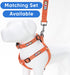 Pawtitas Reflective Dog Collar, Adjustable for Large Dogs, Orange Puppy Collar