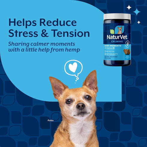180 NaturVet Quiet Moments Calming Aid Dog Supplement, Helps Promote Relaxation, Reduce Stress, Storm Anxiety, Motion