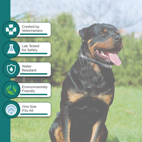 Natural Flea and Tick Collar for Puppies - 24-Month Protection, Waterproof, Strong Pest Control, includes Free Flea