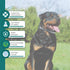 Natural Flea and Tick Collar for Puppies - 24-Month Protection, Waterproof, Strong Pest Control, includes Free Flea