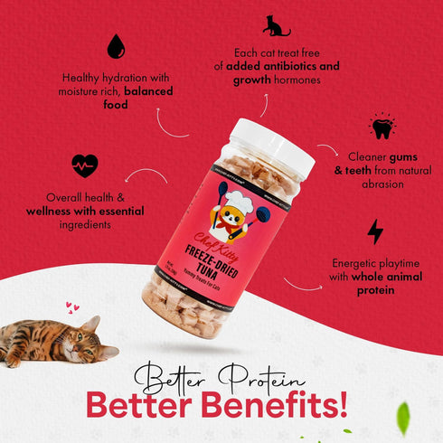 Freeze Dried Tuna Cat & Dog Treats, 100% Wild Caught Tuna, Healthy Raw Food, 1.75oz