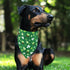 2 Pack, LosFong St. Patrick's Day Dog Bandanas Reversible Triangle Shamrocks Leprechaun Hat Pet Scarf for Boys
