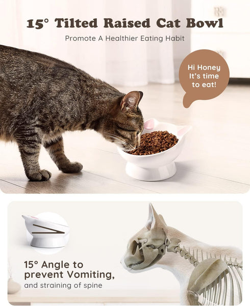Raised Cat Food Bowl Ceramic 15° Tilted Cat Food Bowls Protect Cat's Spine Anti Vomiting Backflow Prevention Cat Bowls for Adult Cats, Kitten, and Small Dogs, Pink