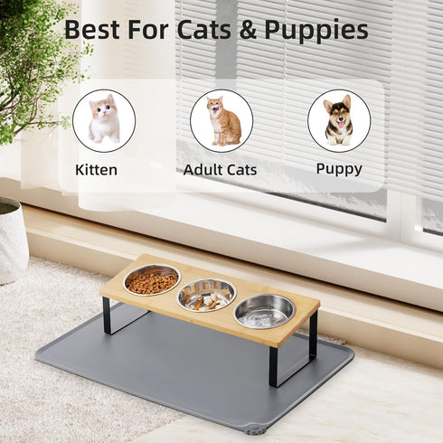 Upgraded Elevated Cat Bowls with Food Mat, 15° Tilted Stand Anti Vomiting Raised Dishes for Cats and Puppy