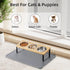 Upgraded Elevated Cat Bowls with Food Mat, 15° Tilted Stand Anti Vomiting Raised Dishes for Cats and Puppy