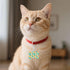 GZEKWLP Citrus Orange Slices Flowers Double Sided Pet ID Tag for Dogs and Cats, Bone Shaped Acrylic Sign with Keychain