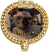 18K Gold Cat Dog Collar Kitten Puppy Wide Stainless Steel Choker, Chew Proof Cuban Link 10mm Chain with Gold Bell