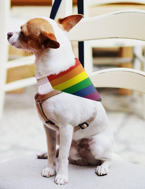 ThisWear Pride Dog Accessories Rainbow Dog Clothes, Pride Flag Scarf for Smaller Dogs