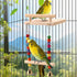 CZWESTC Natural Wood Bird Perch Swing - Cage Platform for Budgies, Cockatiels, Parakeets & Small Birds - Adjustable