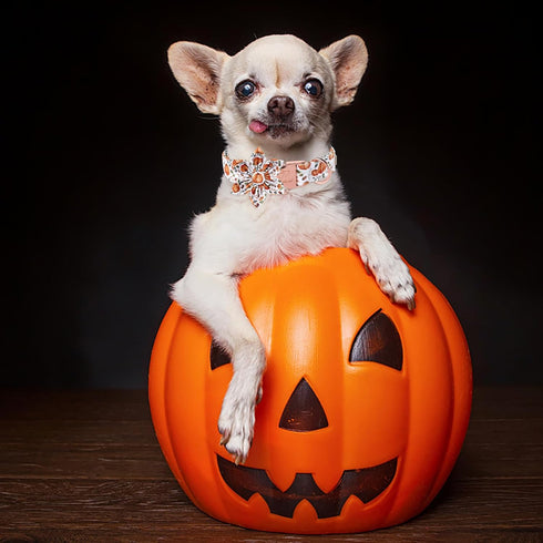 Halloween Dog Collars for Large Dog with Flower Tie,Fall Leaves Pumpkin Dog Collar with Safety Metal Buckle Adjustable Puppy Collars for Small Medium Dog,Boy&Girl&male&Female Dog,L(16"-24")