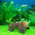 Hermit Crab Climbing Toy - Aquarium Betta Fish Hideout Caves and Tank Decorations
