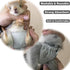(3 Pack, (3.9" 6.3"), Count, 3) Washable Squirrel Diapers - Extra Small Reusable Pet Cloth Diapers Highly Absorbent