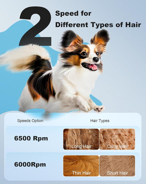 3 1 2 Trimmer in Small Dog Grooming Kit, Speed Rechargeable Dogs Hair Clippers with Guards, Low Noise Electric Dog Paw