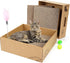 2 Pack Cat Scratcher Box with 3 PCS Scratching Pads, Reversible Cardboard Lounge Bed with Feather Toy