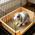 Dmnnlp 20Pcs (15.4x11.2x4.8 inch) Stainless Steel Gird Rabbit Litter Box, Bunny Litter Pan with Hay Feeder & Disposable