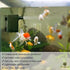 SunGrow 55 GPH 3W Small Submersible Water Pump for Cat & Dog Water Bowls, Fountains, Aquariums