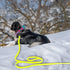 5ft Waterproof Yellow Dog Leash for Small Medium Large Dogs, Cute Color Leash for Boys Girly Dog