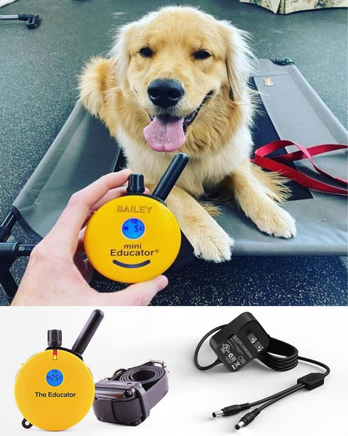Training Collars Charger, Compatible with Educator Series 300, 400, RX, FOB, and BP-504 Barkless Training Collars