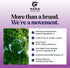Lavender Oil Dog Deodorizing Spray, Lightly Scented Dog Spray for Smelly Dogs and Puppies with Lavender Essential Oil