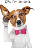Adjustable Leather Suede Rhinestone Dog Collar, Bling Diamond Bow Tie Collars for Small Medium Large Dogs