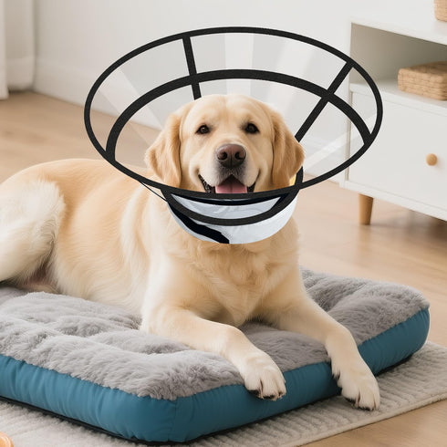 2PCS Sponge Core Dog Cat Cone Collar for After Surgery Recovery, Inflatable Dog Cone Alternative, Lainergie Dogs Donut
