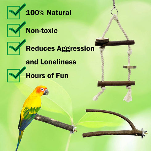 EBaokuup Bird Parrot Perch Set, 10PCS Natural Wood Stand for Budgies, Cockatiels, Conure