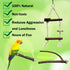 EBaokuup Bird Parrot Perch Set, 10PCS Natural Wood Stand for Budgies, Cockatiels, Conure