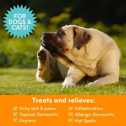 Nootie Medicated Anti-itch Spray, 8 fl oz, Itch Relief & Skin Care for Dogs & Cats, Veterinarian Formulated