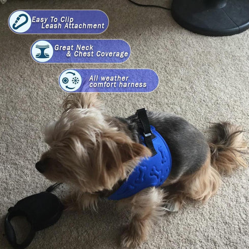 Comfort Fit No Pull Dog Harness, Blue XS, Soft Padded Vest with 2 Leash Clips, Adjustable Buckles
