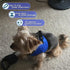Comfort Fit Dog Harness No Pull, Adjustable Buckles, Soft Padded Reflective Vest for Small Medium Large Dogs