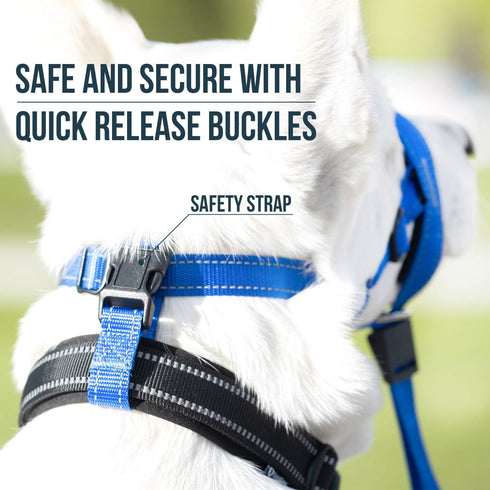 GoodBoy Dog Head Halter with Safety Strap, Padded Headcollar for Small Medium and Large Dogs, Size 4, Blue Nylon
