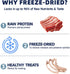 Dogs,100% 5.29 oz Freeze Dried Beef Ribs Dog Treats, Single Ingredient, Natural Chew Bone, Gentle on Teeth and Stomach