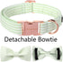 ARING PET Dog Collar - Cute Green Collar with Bow, Adjustable Summer Bowtie for Small Medium Large Dogs with Metal