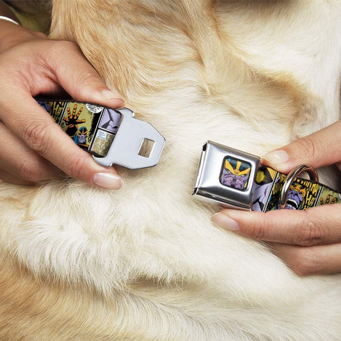 Dog Collar Seatbelt Buckle Thanos Comic Scene Blocks 13 to 18 Inches 1.5 Inch Wide, DC-WMC149-WS