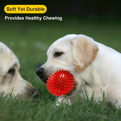 VITEVER 3.5” Squeaky Dog Toy Balls (6 Colors) for Medium, Large & Small Dogs, Durable, Non-Toxic, BPA Free, Chew Toys