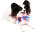 Midlee Medium Patriotic Dots Dog Collar for 4th of July