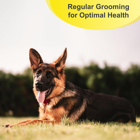 Professional Dog Brush for Shedding - Double Sided Undercoat Rake with 12+23 Blades for Medium & Long Haired Dogs