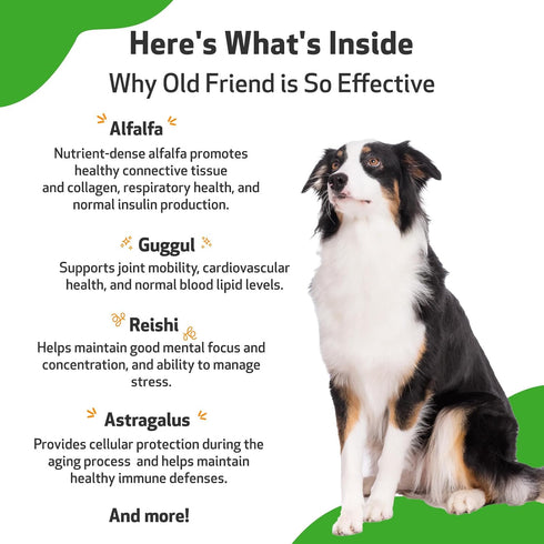 Pet Wellbeing Old Friend for Senior Dogs, 2 oz - Vet-Formulated Natural Herbal Supplement for Joint Mobility Support