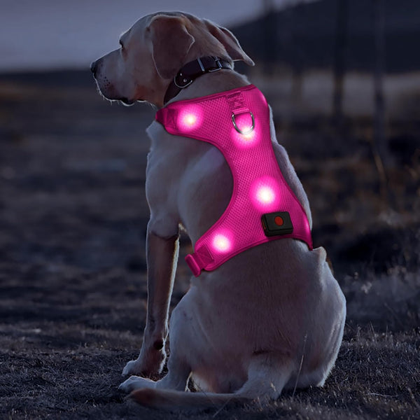 Light Up Dog Harness, No-Pull LED Rechargeable Glowing Pet Harness for Night Walking & Camping, Hotpink