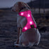 Light Up Dog Harness, No-Pull LED Rechargeable Glowing Pet Harness for Night Walking & Camping, Hotpink