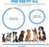 HIGO Light Up Dog Collar, Lightweight LED Necklace for Dogs, USB Rechargeable, Blue-Silicone