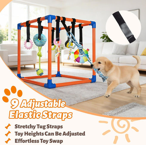 Flickzy 9 Puppy Play Gym with Hanging Toys for Small Dogs, PVC Frame with Bungee Straps, Interactive Indoor Jungle