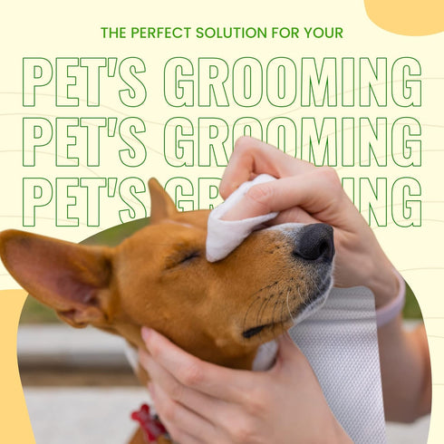 Bamboo Pet Towel 10 PCS, Reusable Machine Washable Paper Towels for Dogs, Cats, and Other Pets