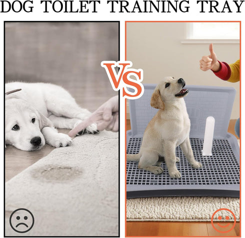 Dmnnlp 20"x15.5"x1.4" Indoor Dog Potty Tray with Splash Guard, Pee Pad Holder for Puppies & Small Dogs, Waterproof